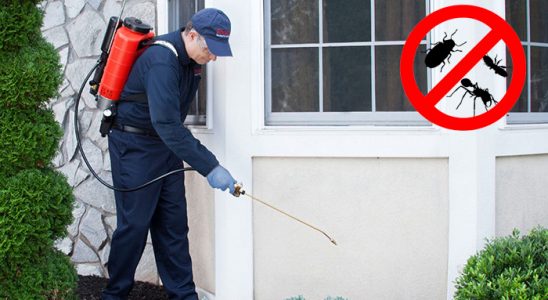 Espiye Tahtakurusu İlaçlama böcek ilaçlama ve haşere kontrolü — ilaclama-tr.com